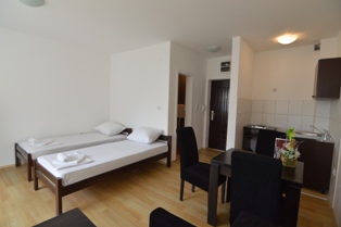 Apartman 6, apartmani Elegance, Banja Koviljača smeštaj
